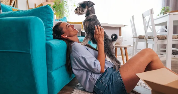 The right to request pets under the Renters’ Rights Act  - Chase Evans